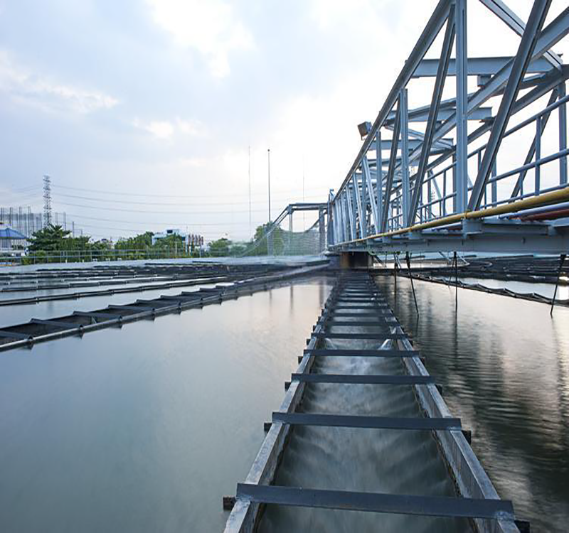 A Vietnamese company procures 10 tons of coal-based powdered activated carbon.